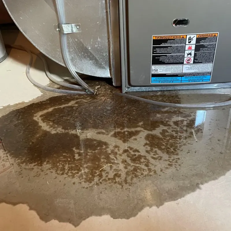 Pipe Burst and Leak Restoration in Malmstrom Air Force Base, MT